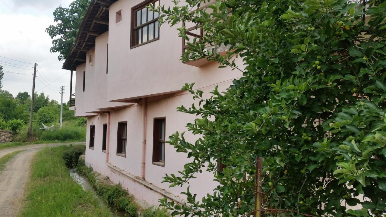 Elmas Pansiyon Karacasu  Exterior foto